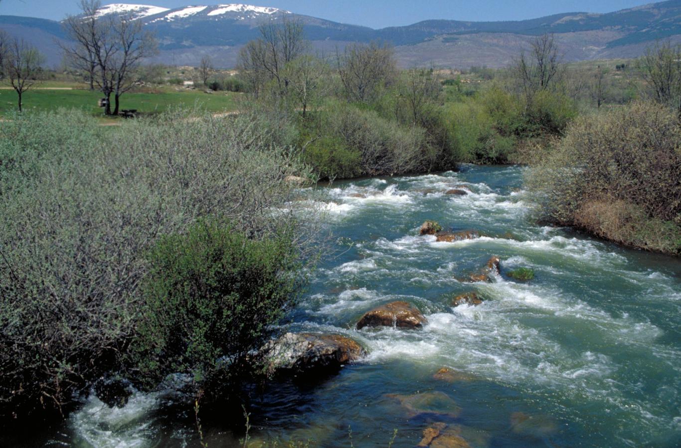 Alianza en la lucha contra los vertidos ilegales y la recuperación del patrimonio natural de Madrid: Nuevo convenio firmado