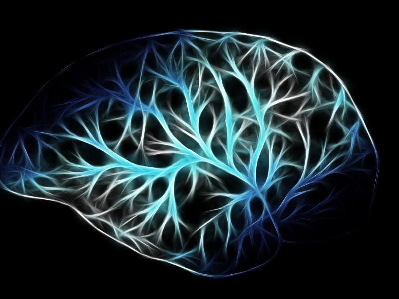 Conexión entre la inflamación neuronal y el Alzheimer